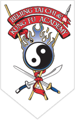 BTKA USA - Beijing Tai Chi & Kung Fu Academy USA
